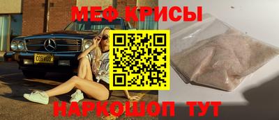 ешки Кингисепп