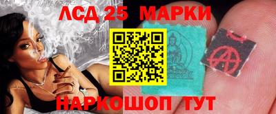 a pvp Камышлов