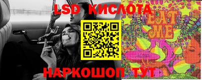 a pvp Камышлов