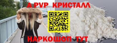 ешки Кингисепп